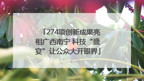274项创新成果亮相广西南宁 科技“盛宴”让公众大开眼界
