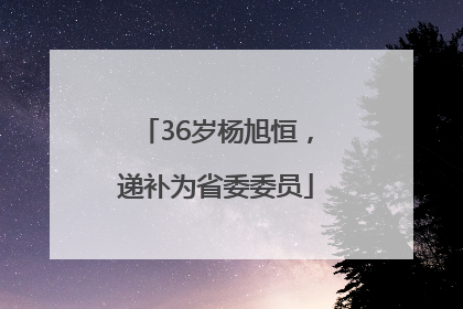 36岁杨旭恒，递补为省委委员