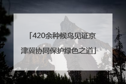 420余种候鸟见证京津冀协同保护绿色之道