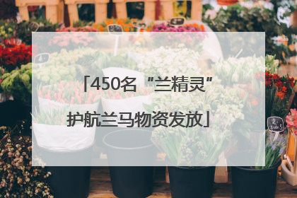 450名“兰精灵”护航兰马物资发放
