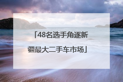 48名选手角逐新疆最大二手车市场