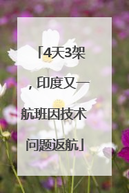 4天3架，印度又一航班因技术问题返航