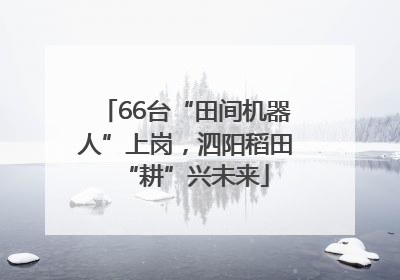 66台“田间机器人”上岗，泗阳稻田“耕”兴未来