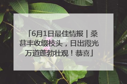 6月1日最佳情报｜桑葚丰收缀枝头，日出霞光万道蓬勃壮观！恭喜