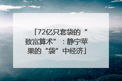 72亿只套袋的“致富算术”：静宁苹果的“袋”中经济