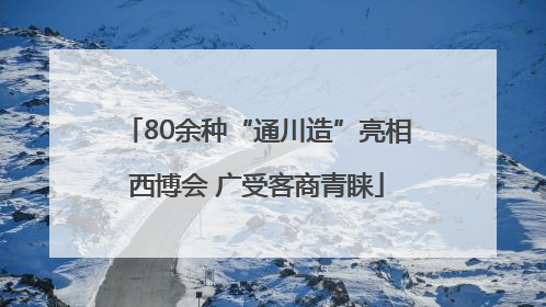 80余种“通川造”亮相西博会 广受客商青睐