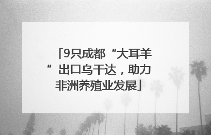9只成都“大耳羊”出口乌干达，助力非洲养殖业发展