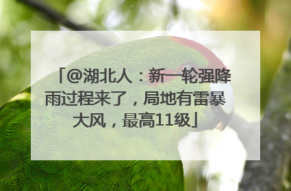 @湖北人：新一轮强降雨过程来了，局地有雷暴大风，最高11级