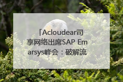Acloudear司享网络出席SAP Emarsys峰会：破解流量困局，驱动精准增长