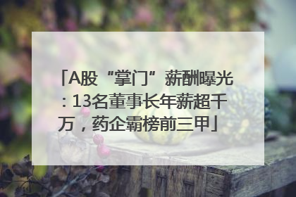 A股“掌门”薪酬曝光：13名董事长年薪超千万，药企霸榜前三甲