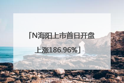 N海阳上市首日开盘上涨186.96%