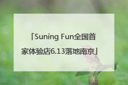 Suning Fun全国首家体验店6.13落地南京